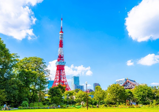 太金國際旅行社的旅遊行程介紹圖片